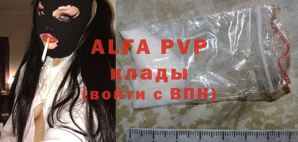 стафф Алексин