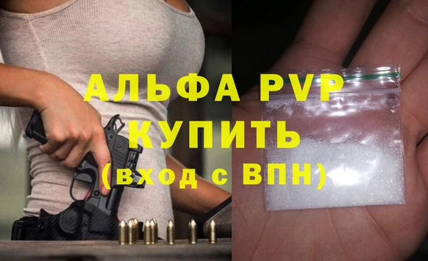 стафф Алексин