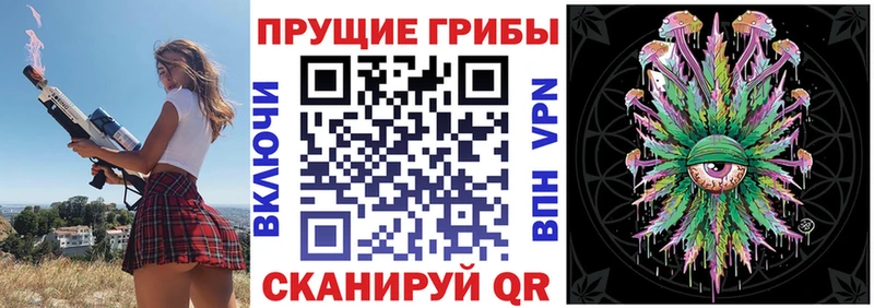Купить закладки  Карабаш  Галлюциногенные грибы прущие грибы 